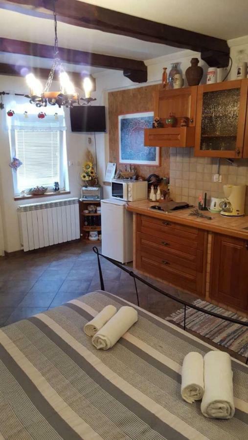 Apartman Ruza 3 Poljane Kültér fotó
